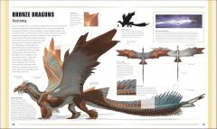  Dungeons & Dragons: The Book of Dragons