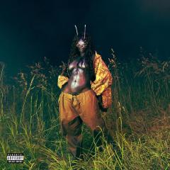 SOS Deluxe: Lana (4xGreen Translucent Vinyl, Deluxe Edition)