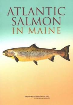 Coperta cărții Atlantic Salmon in Maine