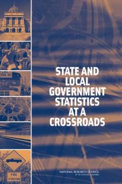 Coperta cărții State and Local Government Statistics at a Crossroads