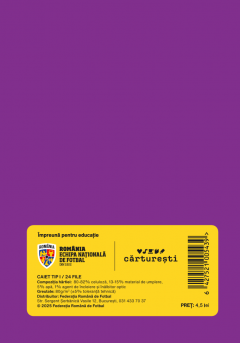 Caiet Tip I (24 file) - Nicolae Stanciu