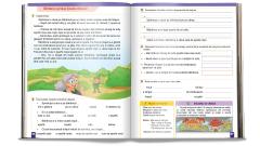Set pe discipline - O aventura educativa prin clasa a II-a