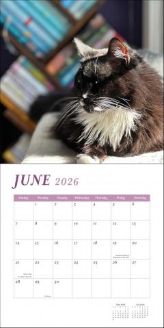 Calendar de perete - Septembrie 2025 - Ianuarie 2026 - Cats & Books
