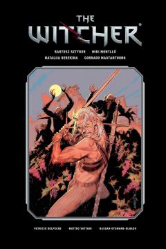 Coperta cărții The Witcher - Volume 3