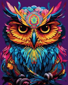 Set pictura pe numere - Bufnita