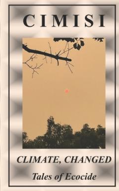 Performance Consultant Fieldbook Disk