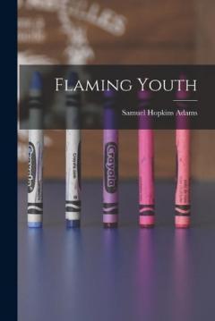 Coperta cărții Flaming Youth