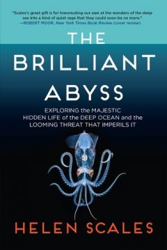 The Brilliant Abyss: Exploring the Majestic Hidden Life of the Deep Ocean, and the Looming Threat That Imperils It