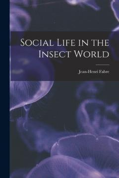 Social Life in the Insect World