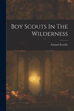 Coperta cărții Boy Scouts In The Wilderness