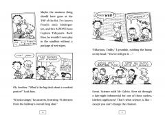 Big Nate Flips Out