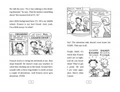 Big Nate Flips Out