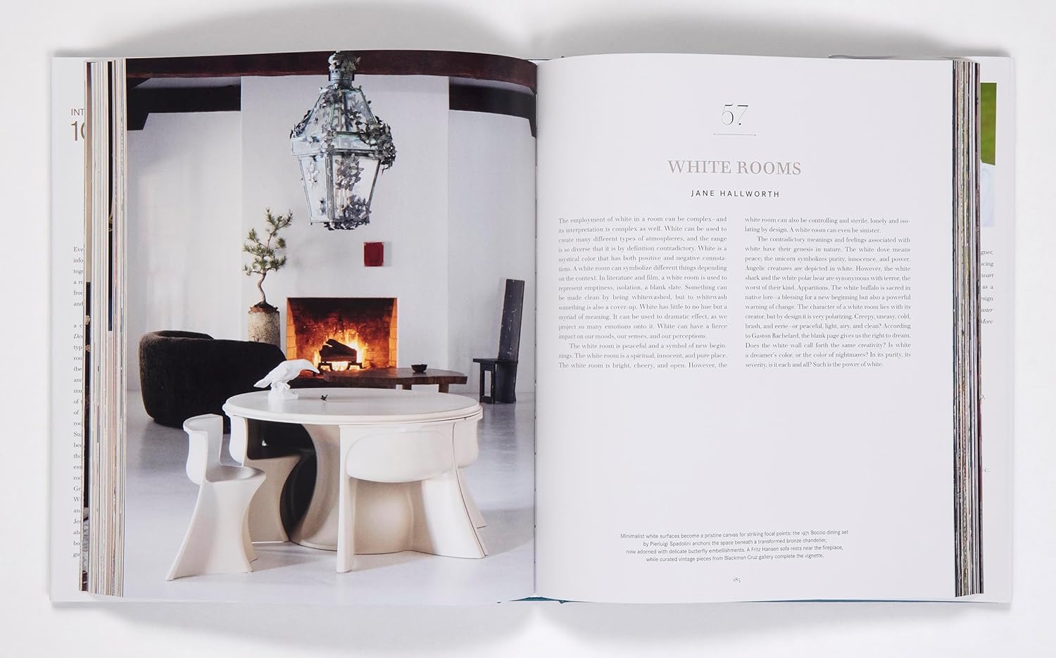 Interior Design Master Class 100 Rooms - Carl Dellatore