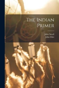 Coperta cărții The Indian Primer