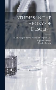 Studies in the Theory of Descent
