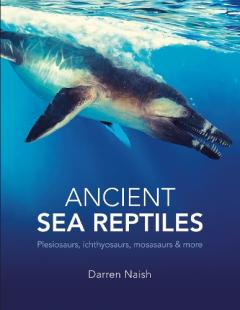 Coperta cărții Ancient Sea Reptiles