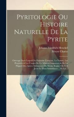 Pyritologie Ou Histoire Naturelle De La Pyrite: Ouvrage Dans Lequel On Examine L'origine, La Nature, Les Propietés & Les Usages De Ce Minéral Important & De La Plupart Des Autres Substances Du Meme Regne: On Y A Joint Le Flora Saturnisans ... Et Les.