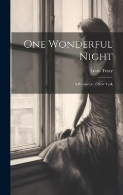 One Wonderful Night: A Romance of New York
