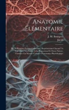 Anatomie Élémentaire: En 20 Planches Format Colombier, Représentant Chacun Un Sujet Dans Son Entier À La Proportion De Demi-nature, Formant Un Manuel Complet D'anatomie Physiologique