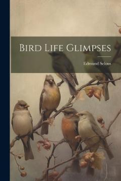 Coperta cărții Bird Life Glimpses