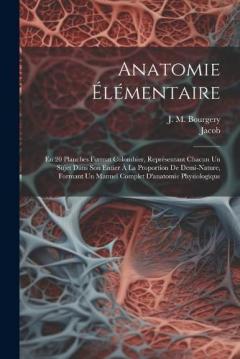 Anatomie Élémentaire: En 20 Planches Format Colombier, Représentant Chacun Un Sujet Dans Son Entier À La Proportion De Demi-nature, Formant Un Manuel Complet D'anatomie Physiologique