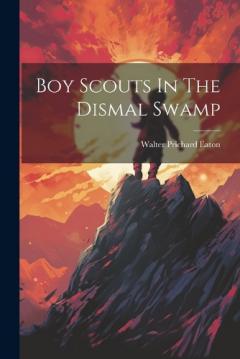 Coperta cărții Boy Scouts In The Dismal Swamp
