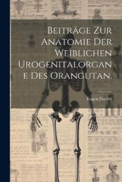 Beiträge zur Anatomie der weiblichen Urogenitalorgane des Orangutan.