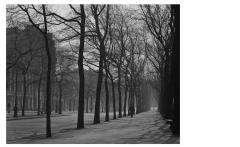 Paris, A Love Story 1945-1952