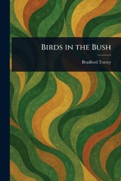 Birds in the Bush