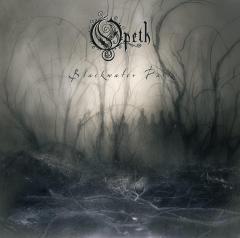 Blackwater Park - Vinyl