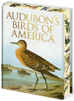 Audubon's Birds of America