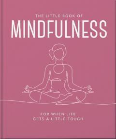 Little Book of Mindfulness