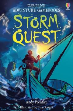 Coperta cărții Storm Quest