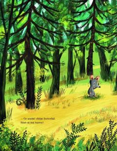 A venit vara in padure