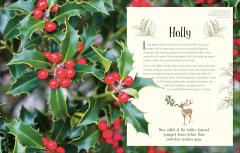 An Anthology of Christmas