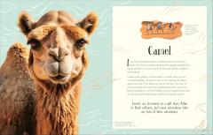 An Anthology of Christmas