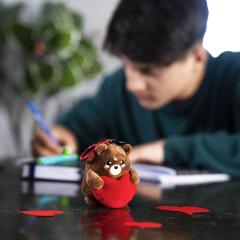 Breloc de plus - Teddy Bear