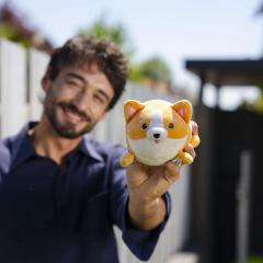 Jucarie de plus - Corgi 