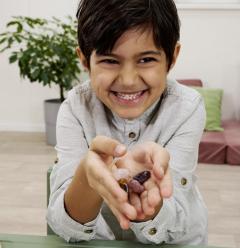 Kit de excavare minerala - Scout