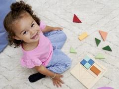 Puzzle din lemn cu forme -  Montessori, 12 piese