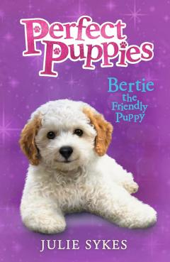 Bertie the Friendly Puppy