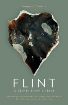 Coperta cărții Flint