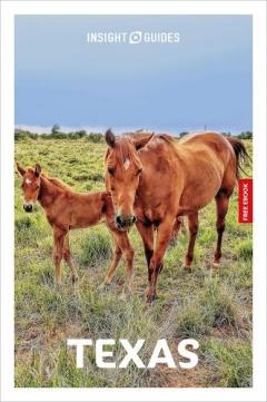 Insight Guides Texas: Travel Guide with Free eBook