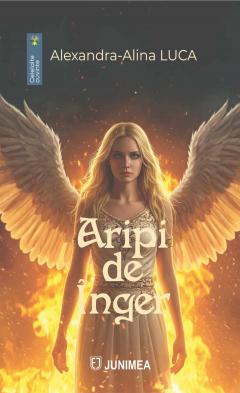 Aripi de inger