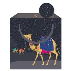 Punga cadou - Sara Miller Camel Bag