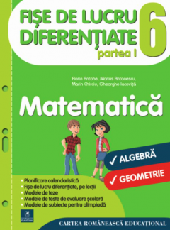 Fise de lucru diferentiate. Matematica. Clasa a VI-a - Partea I