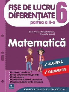 Fise de lucru diferentiate. Matematica. Clasa a VI-a - Partea a II-a