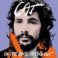 On The Road To Findout: Greatest Hits (Blue Vinyl)