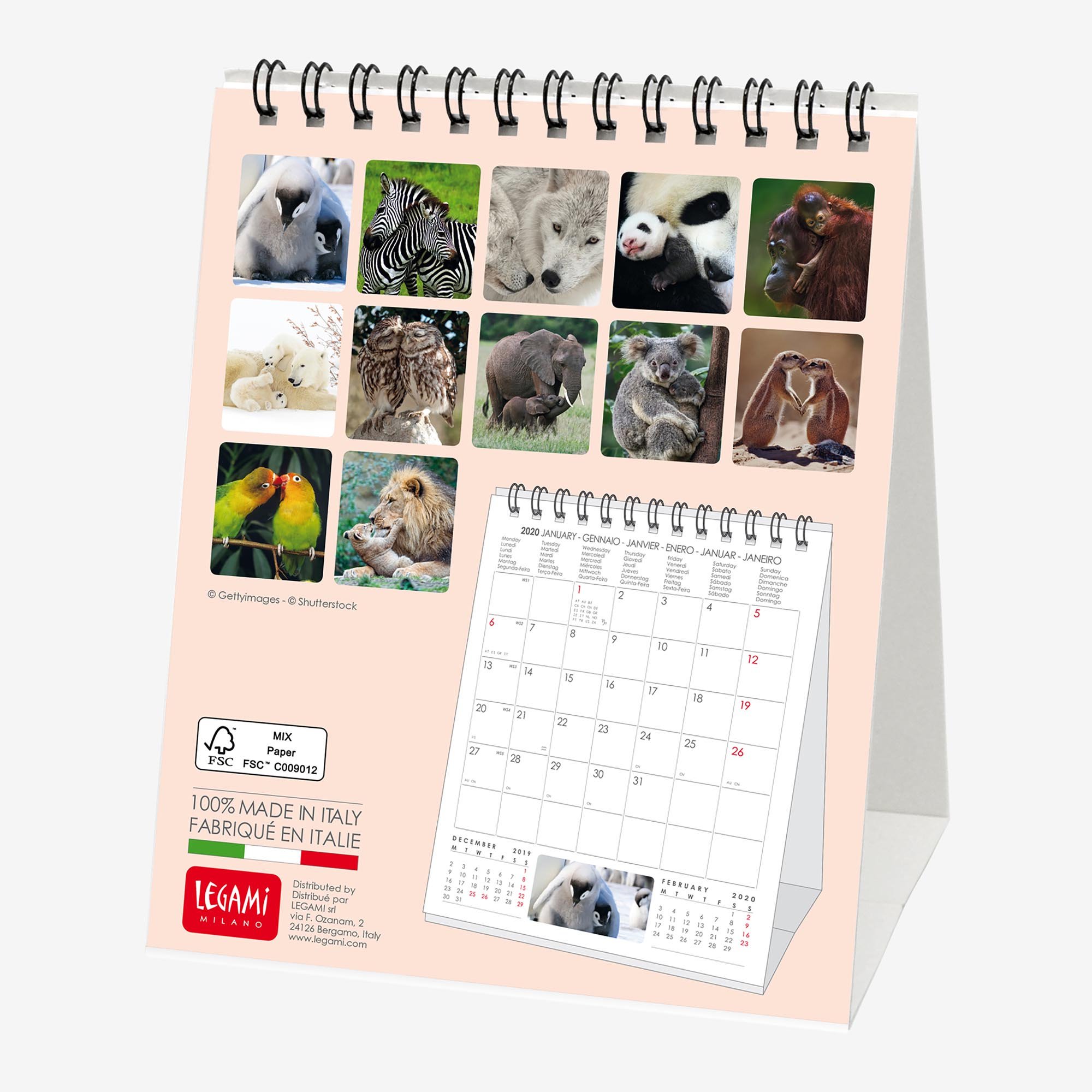 little moments of love calendar little moments of love calendar