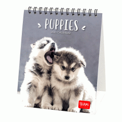 Calendar 2020 - Puppies